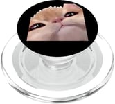 Cute Cat Sparkle Eyes Cat Memes Silly Staring Anime Kawaii PopSockets PopGrip for MagSafe