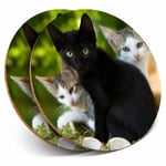 2 x Coasters - Cute Kittens Black Tabby Ginger Cat Home Gift #24573