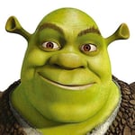 Shrek Face 40 x 40cm Canvas Prints, Polyester, Multi-Colour, 40x40x3.2 cm