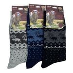 Wool Ullstrumpor 3 pack, HERR 40-46 multifärg one size