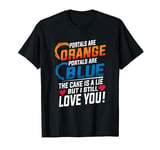 Portal Video Gamer Gift Men Boys Valentines Day T-Shirt