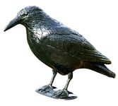 Windhager Répulsif Oiseaux Crow, Défense de Pigeon en Plastique, Protection Contre Les Oiseaux, Lutte Contre Les nuisibles, 37 cm, Noir, 07117