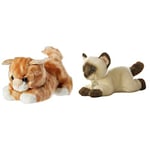 AURORA World 60467 MiYoni Tots Tabby Cat Plush Toy (Orange) & MiYoni 8-inch Siamese Soft Toy 10814 Brown and Beige