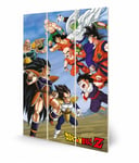 Dragon Ball Z - Battle Clash - Impression Sur Bois 20x29.5cm