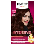 Schwarzkopf - Palette - Coloration Permanente Cheveux - Crème Soin - Couvre 100% des Cheveux Blancs - Tenue 8 semaines - Chocolat Griotte 878