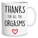 Funny Rude Boyfriend Gift Coffee Mug Husband Wife Girlfriend Valentine's Present Thanks for All The Orgasms Banter Novelty Humour WSDMUG1543