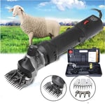 Sinbide Tondeuse Mouton 690W Tondeuse Electrique Professionnelle pour Mouton ...