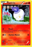 Carte Pokémon Funécire 60 Pv 14/116 Glaciation Plasma Neuf Fr