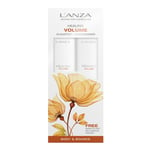 Lanza Healing Volume Duo BOX