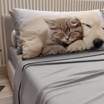 PETTI Artigiani Italiani - Parure de lit pour Animaux avec Chats et Chiens en Coton avec taies d'oreiller en Impression numérique, draps Une Pizza et demie, Une Place et demie Gris Clair, 100%