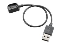 Poly - Usb-Strömkabel - Usb Hane - För Voyager Legend