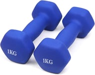 Neoprene Dumbbells 1KG x 2 Weights Iron Hand Aerobic Workout Fitness Gym Blue