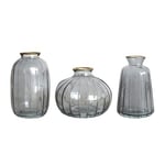 The Urban Gardener Lot de 3 vases en Verre Gris fumé avec Bordure dorée