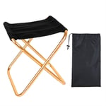 DFSMG Tabouret De Pêche Extérieur Portable Chaises Pliantes Ultra Légères Camping Chaise De Pique-Nique Sousway Equipment De Pêche Chaises De Pêche (Color : Golden)