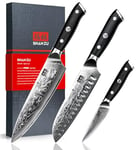 SHAN ZU 3 Pièces Set de Couteaux de Cuisine Damas, Ensemble de Couteau Japonais Acier Japonais 67 Couches Super Tranchant, Couteau de Chef, Couteau Santoku, Couteau d'office - PRO Series