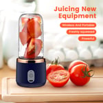 Electric Fruit Blender Bottle Mixer Portable USB Rechargeable Juicer