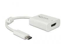 Delock ekstern videoadapter - VL100 / MCDP2900 - hvit