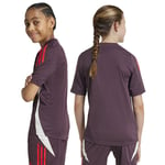 Adidas Fc Bayern Munich 24/25 Junior Training Short Sleeve T-shirt Purple 5-6 Years