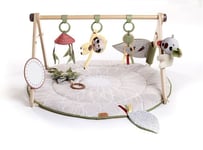 Tiny Love Babygym Gymini Luxe, Boho