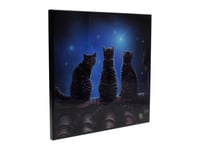 Wish Upon a Star (Lisa Parker) Small Crystal Clear Picture 25cm Nemesis Now