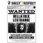 A3 Print - Harry Potter - Daily Prophet - Wanted Bellatrix Lestrange multifärg