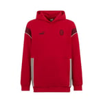 AC Milan PUMA Ftlbarchive Unisex Adult Hooded Sweatshirt (Pack of 1) Red