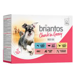 Briantos Biter i saus 40+8 gratis! - Chunks in Gravy Mixpakke