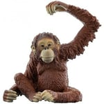 SCHLEICH - Figurine de l'univers des animaux sauvages - Femelle Orang-Outan -...