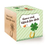 Feel Green Celebrations Ecocube Carte de vœux avec Gravure au Laser Inscription en Allemand EIN Viel Glück für Dich Idée Cadeau Durable