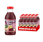 Tropical Vibes Sorrel and Ginger Drink, Exotic Flavors, Refreshing Summer Drink, Pack of 15