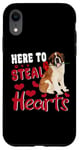 iPhone XR Here To Steal Hearts Funny St Bernard Dog Valentines Day Case