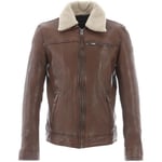 Veste Oakwood  COLT TAN 515