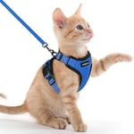 rabbitgoo Harnais Chat Anti évasion avec Laisse Bleu XXS, Harnais Chaton Petit Chien Réglable, Collier Harnais et Laisses pour Chat Refléchissant Attache Dessus Gilet Respirant pour Lapin Chat Chiot