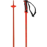 Salomon Arctic Unisex Poles Ski Hiking 125cm