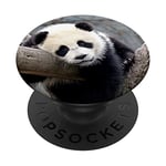 Cute Baby Panda Bear Pop Mount Socket PopSockets Swappable PopGrip
