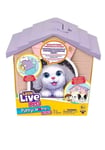 Little Live Pets My Puppy's Home Series 2 Mini Playset Pink NEW (Various Puppy)