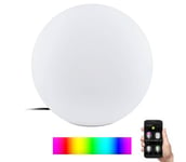 Eglo 900272 - LED RGB Himmennettävä ulkolamppu 1xE27/9W/230V 2700-6500K IP65