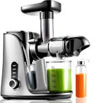 Cold Press Juicer 2-Speed Control - High Yield Masticating Machine - Silver