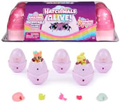 HATCHIMALS Alive, Rainbow Splash Egg Carton Toy with 5 Mini Figures in Colour-Reveal Eggs & 10 Accessories, Kids’ Toys for Girls & Boys Aged 3+