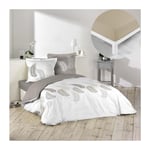 Cdaffaires - Pack parure de couette 260x240 cm Goyave + drap housse 160x200x30 Beige