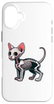 iPhone 16 Plus X-ray Sphynx Body Anatomy Radiography Skeleton Case