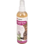 Catnip en spray 250 ml pour chat