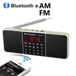 (Kultainen)Digitaalinen kannettava radio AM FM Bluetooth-kaiutin Stereo MP3-soitin TF SD-kortti USB-asema Handsfree Soita ladattavat kaiuttimet