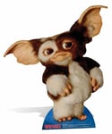 Gizmo from Gremlins Lifesize Cardboard Cutout / Standee / Standup mogwai cute