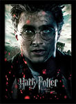 Harry Potter "Deathly Hallows Part 2 Harry" Framed Print, 30 x 40 cm