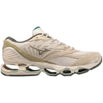 Chaussures Mizuno  Wave Prophecy Ls