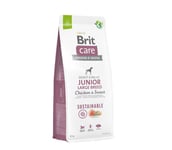 Brit Care Sustainable Junior Large Breed Chicken&Insect -kuivaruoka koirille, 12 kg