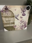 Glitter Birdcage Shabby Chic Printed Canvas Wall Art Hanging Picture 48 x 48cm