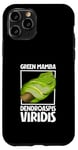 Coque pour iPhone 11 Pro Mamba vert