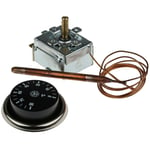 Thermostat Rs Pro Capillaire, 0°C à 90°C, 1 rt ( Prix pour 1 )